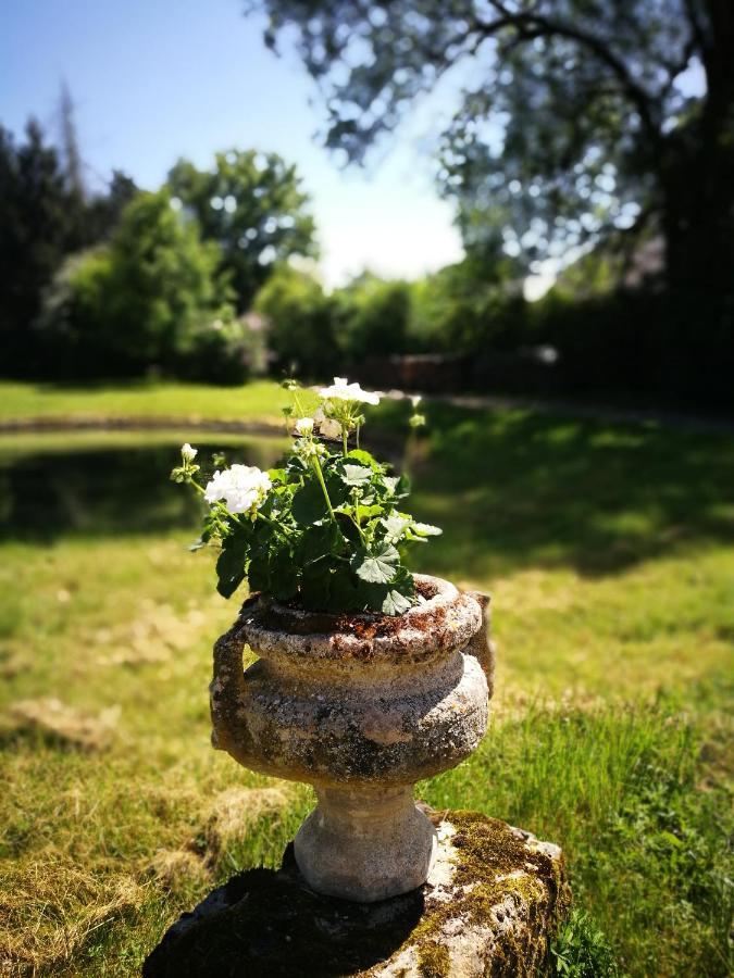 Chateau De Mongazon Saint-Franchy Bagian luar foto